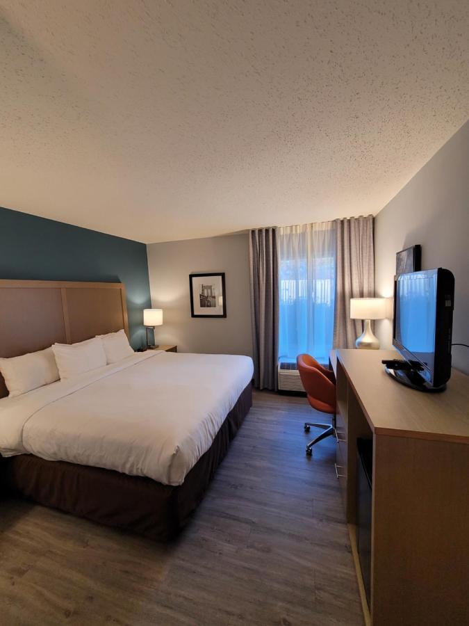 Comfort Inn & Suites Alexandria West Εξωτερικό φωτογραφία