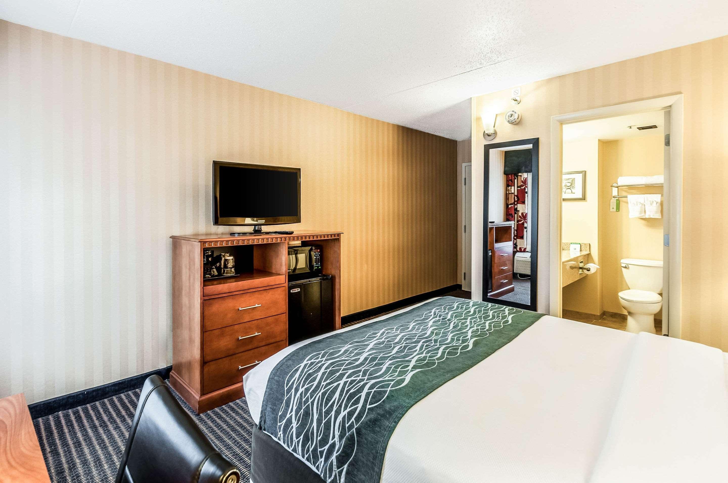 Comfort Inn & Suites Alexandria West Εξωτερικό φωτογραφία