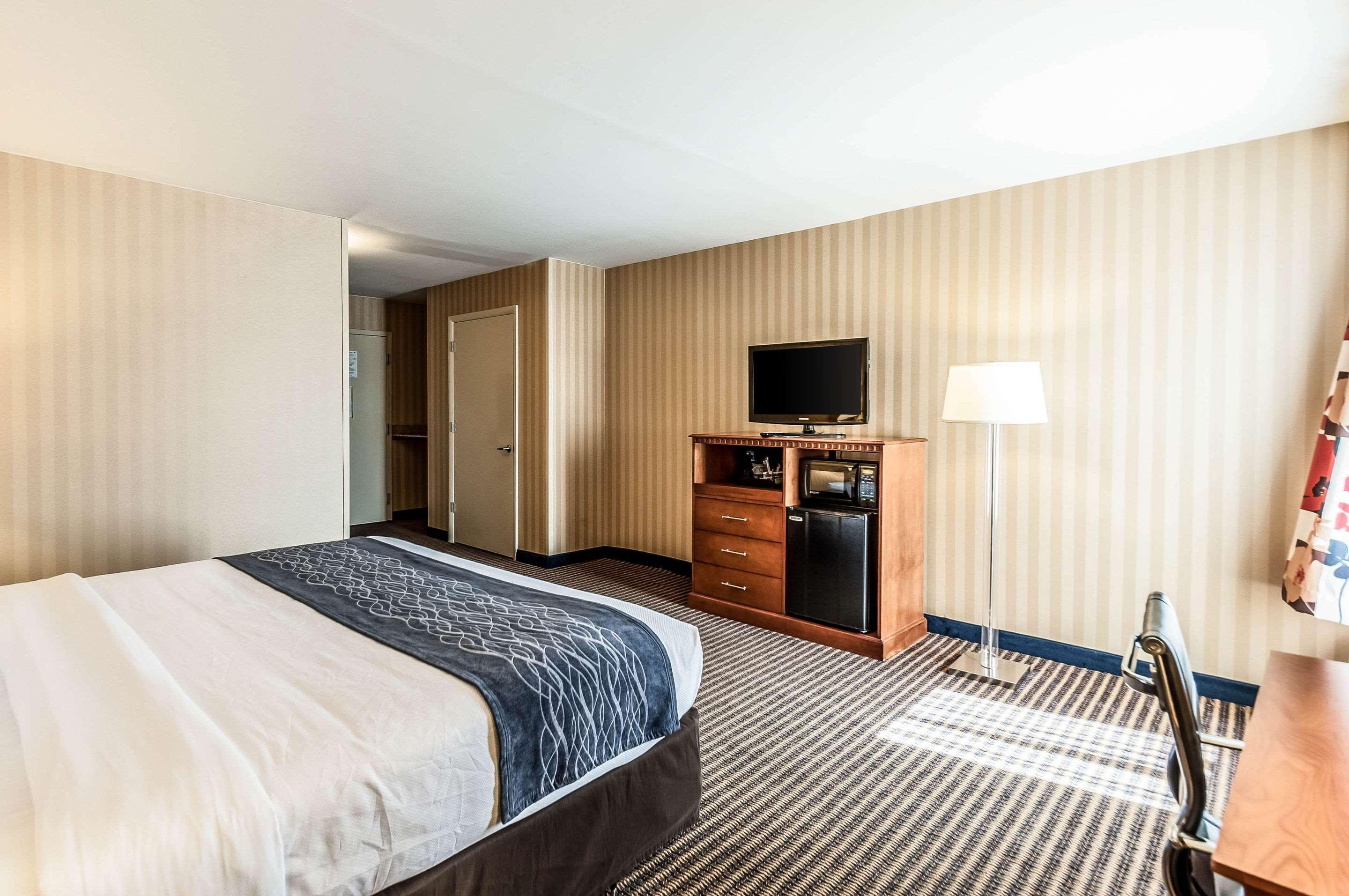 Comfort Inn & Suites Alexandria West Εξωτερικό φωτογραφία