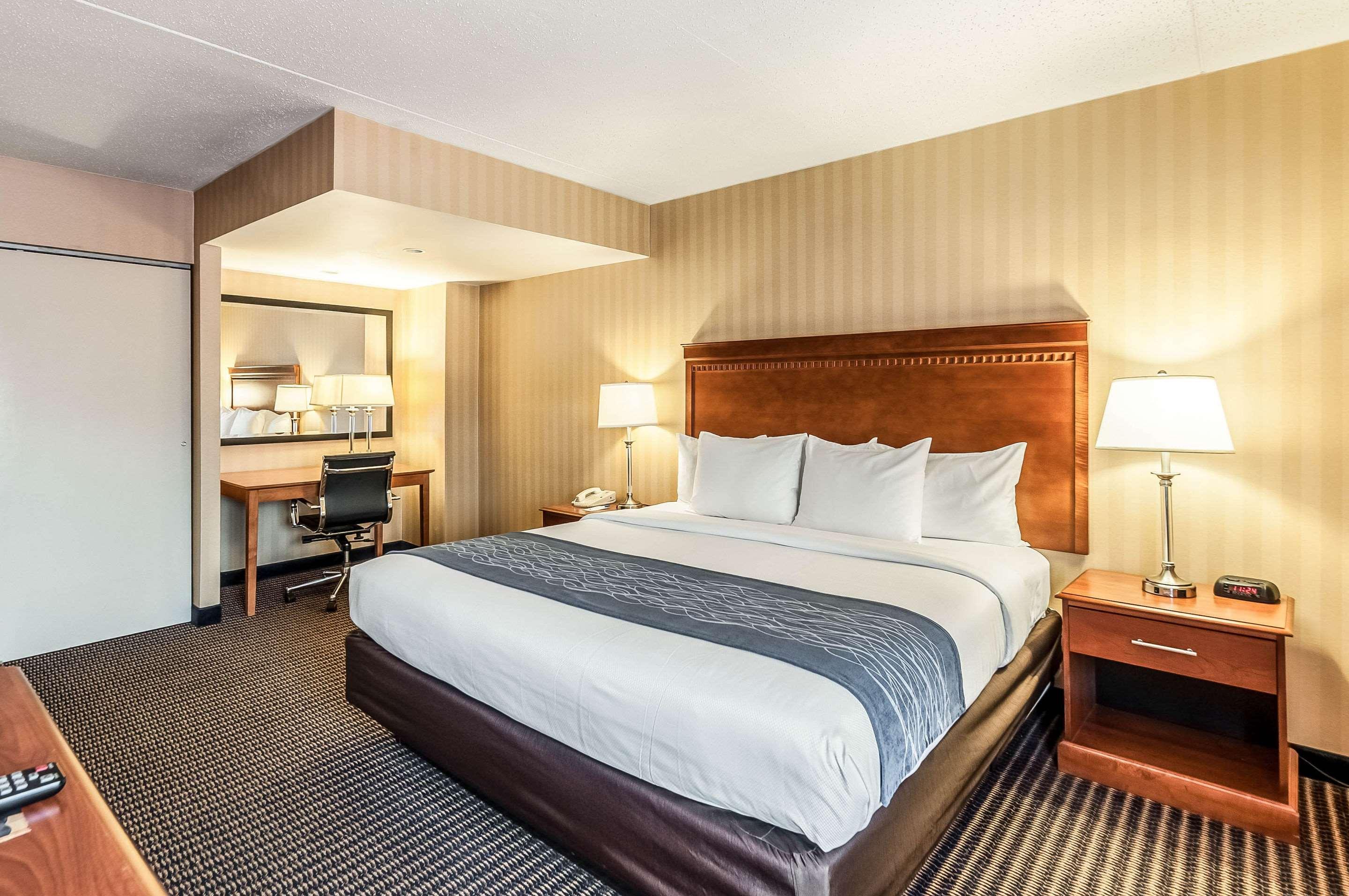 Comfort Inn & Suites Alexandria West Εξωτερικό φωτογραφία