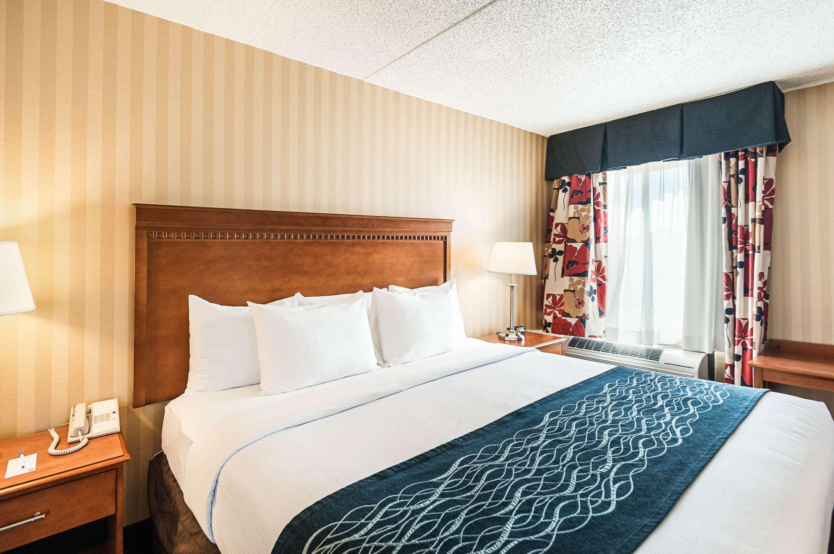 Comfort Inn & Suites Alexandria West Εξωτερικό φωτογραφία